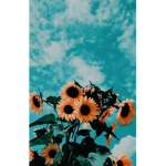 Aᴇsᴛʜᴇᴛɪᴄ Cʟᴜʙ