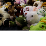 Webkinz Collectors!