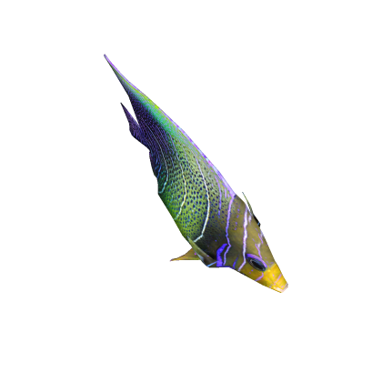 Fish npc