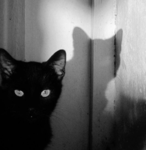 .AUDRIC.