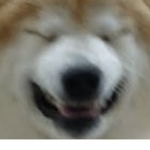 ooga booga bois