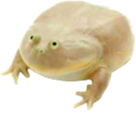 The Frog's Club