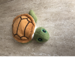 Turtle Gaming and Life