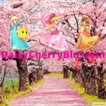 DaisyCherryBlossom