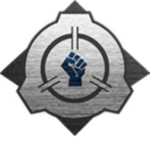 RSF : Mobile Task Force