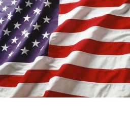 Germany V.S U.S.A icon