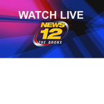 Tha Bronx | NEWS