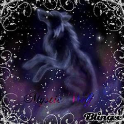 Mystic Wolves Group Game
