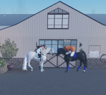 MSE riding stable