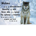 WolfPack(real friend group:D)