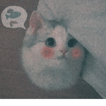 X Q Y
