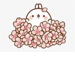 ~ The Blossom Kingdom ~