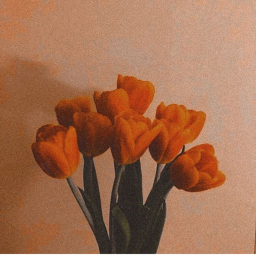 🧸