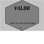 VALOR ASSASSINS