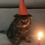 new yr Group Thumbnail