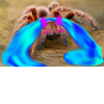 The Spider Club :D