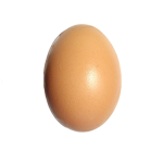 The Children Of The Egg
