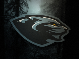 Pittsburgh Prowlers™