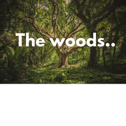 The woods.