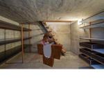 Biggie's Basement