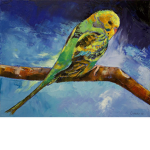 Budgie Studios
