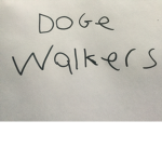 DogeWalkers