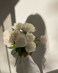 Cute Roses !!