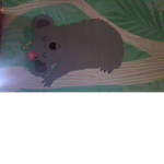 Koala fun for all
