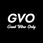 Vibes Only (Negativity Out)