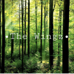 The Wingz