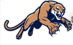Cougars group