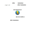 EPIC BANANAS!!!!!!!!!!!!!!!!!!!!!!!!