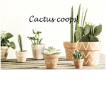 Cactus Coops!