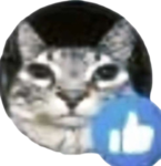 moneycat's epic cat clothes