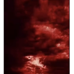 Redvex