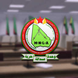 Revolutionary Council