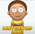 doge coin with a nutshell