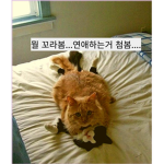 기요미들 그룹