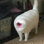 The Cats’ Clans