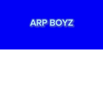 ARP BOYZ