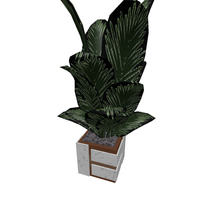 Modern Plant || Original