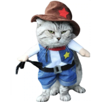 -.CatsAreTheBests.-