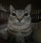 Suki’s Group (OFFICIAL) Group Thumbnail