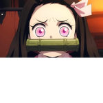 Neko cat chat <3