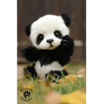 I PANDINI DI GRETI :)