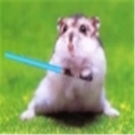 coolsaber clothing