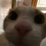 ~SlepyzZz~