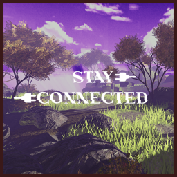 Stay Connected