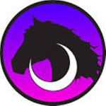 Equestrian skill group