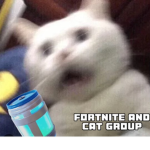 Fortnite & cat group